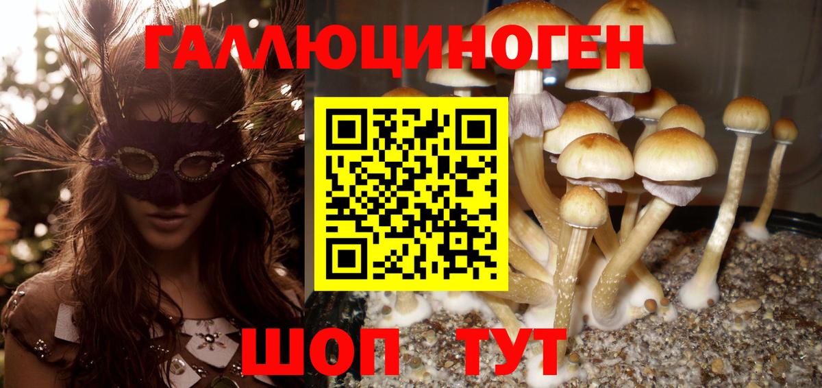 Галлюциногенные грибы мицелий  Вход с VPN  Псилоцибиновые грибы Cubensis  Елец 